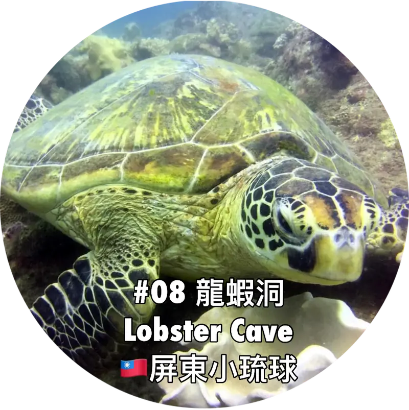 🇹🇼屏東小琉球🌟邁向進階之路🌟