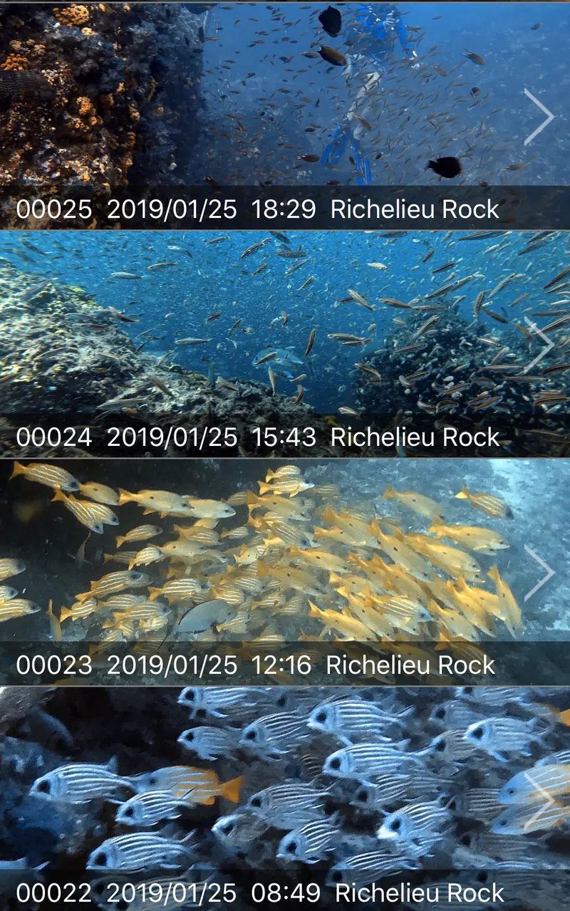 🇹🇭 斯米蘭群島MQ2