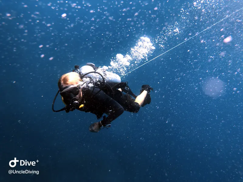 DIVING LOG #20 The Demo