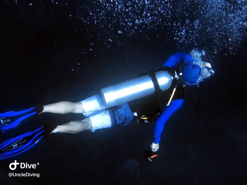 DIVING LOG #20 The Demo