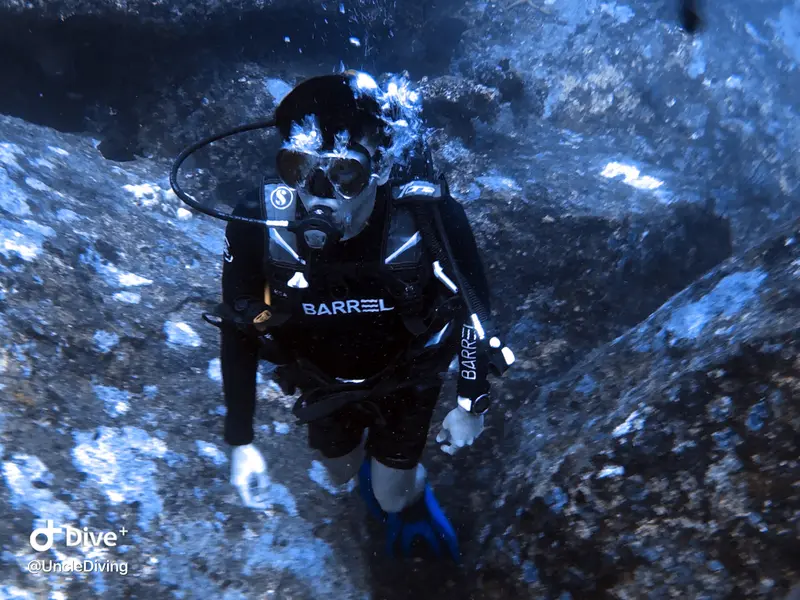 DIVING LOG #21 The Demo