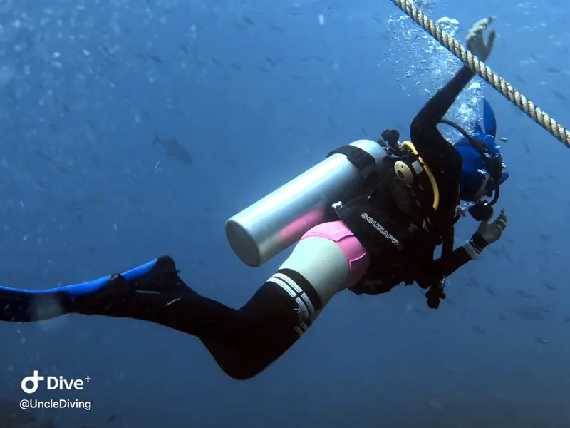 DIVING LOG #21 The Demo