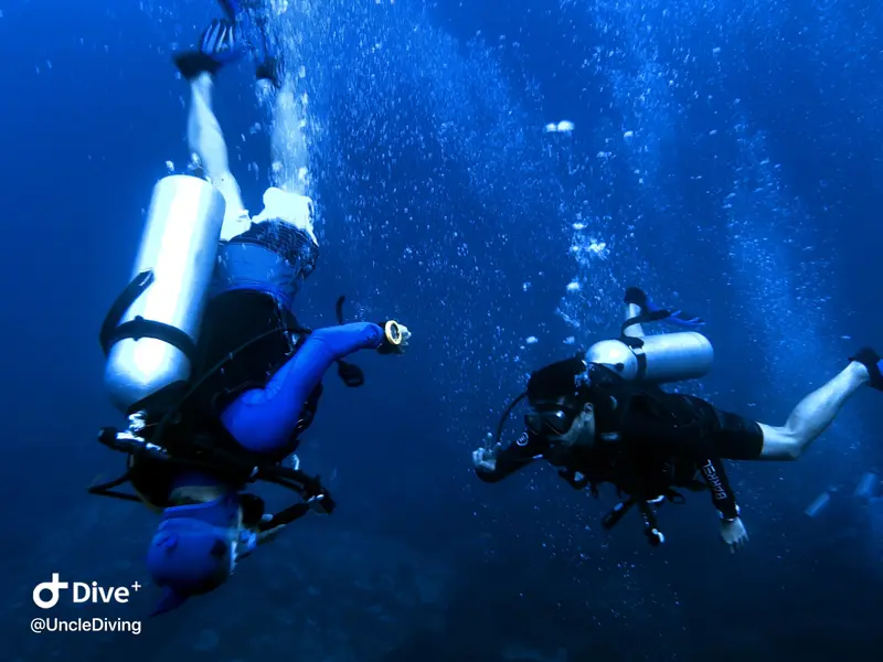 DIVING LOG #21 The Demo