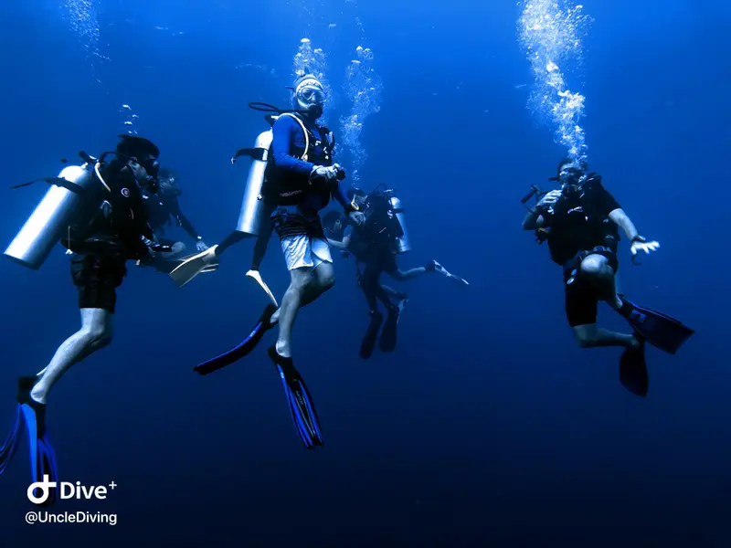 DIVING LOG #21 The Demo
