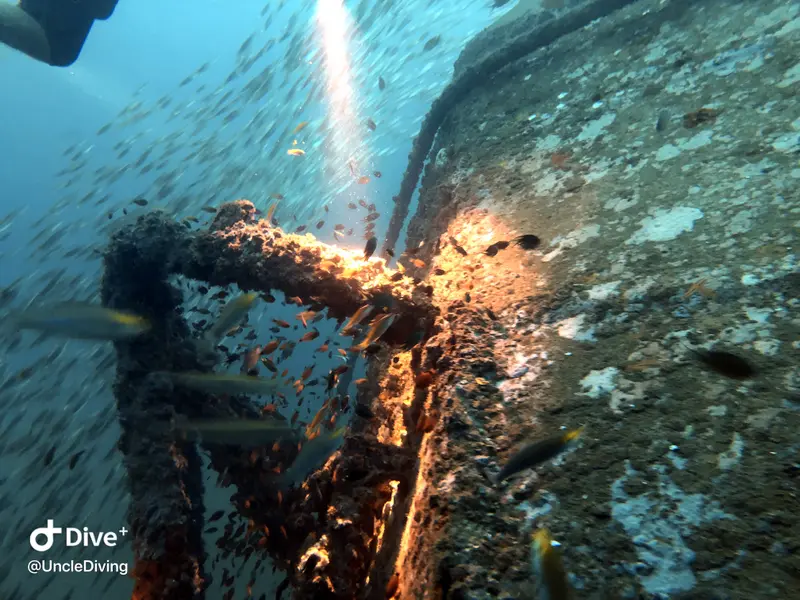 斯米蘭船潛：Phra Thong Wreck