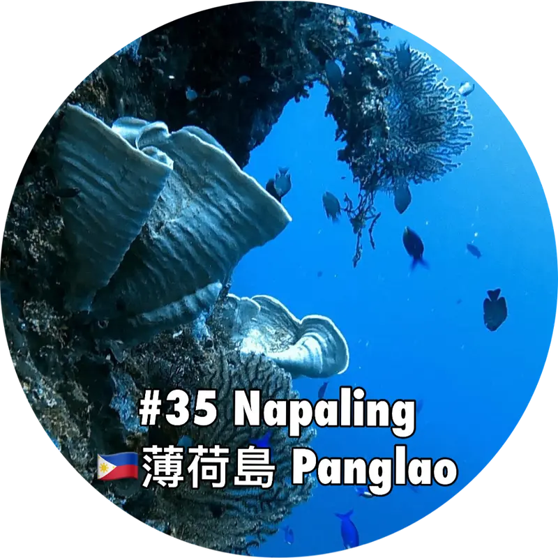 #35 Napaling