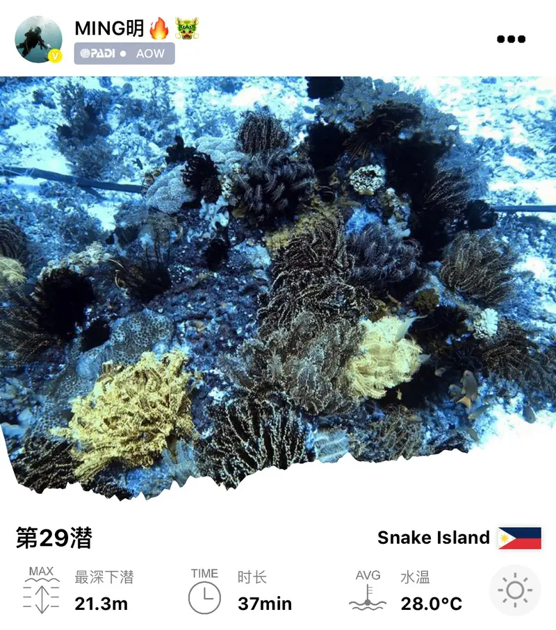 #29 Snake Island