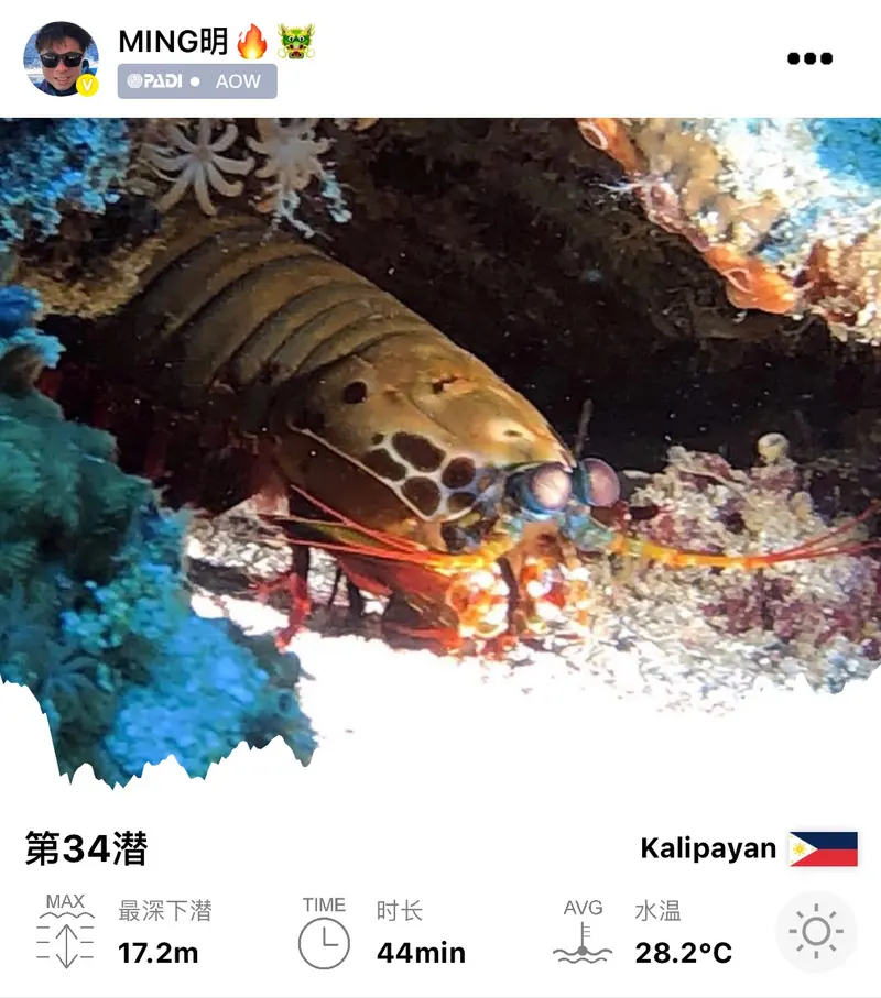 #34 Kalipayan