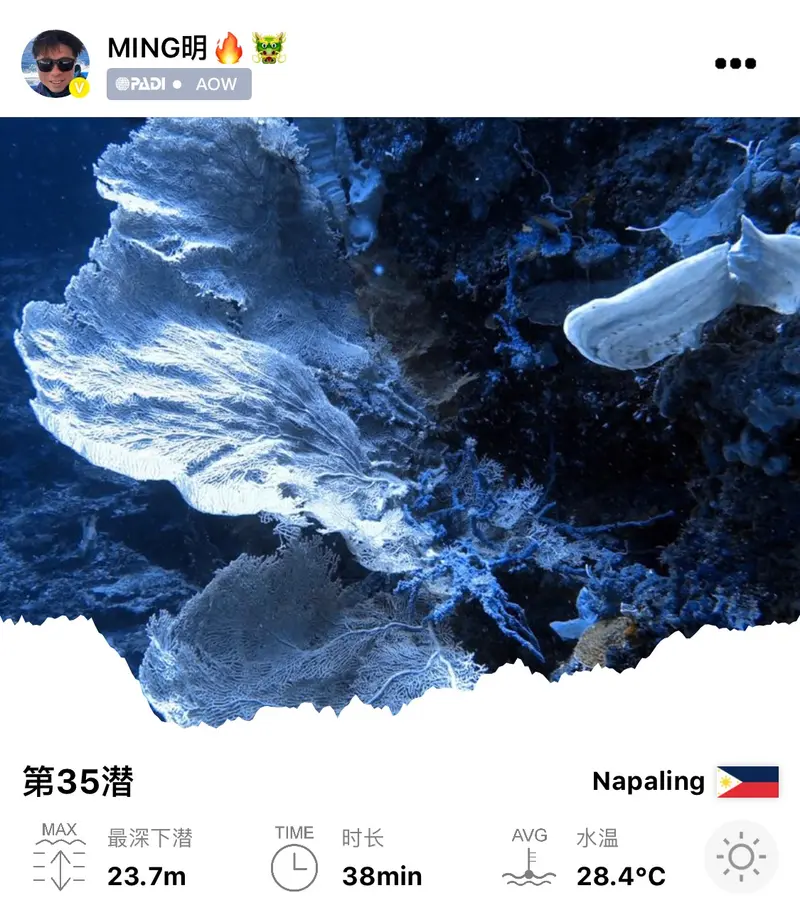 #35 Napaling