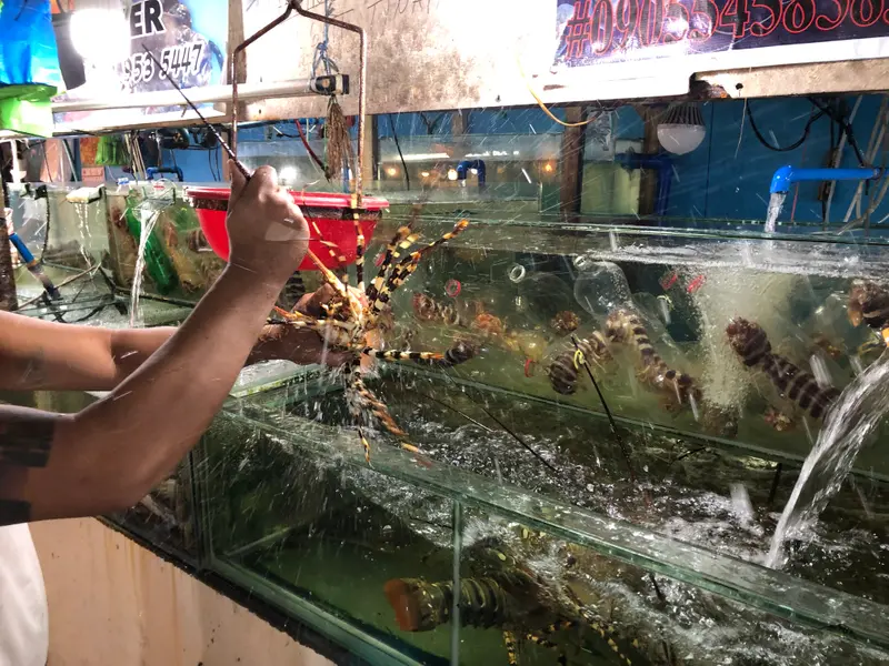 Manila Day July 15,2019