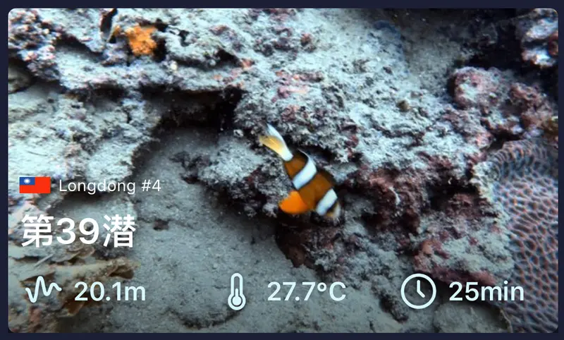 #39 Long Dong 4