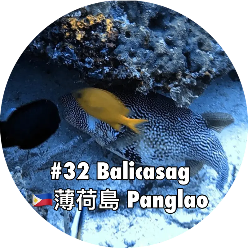 https://www.mingdiving.com/blog/diving32