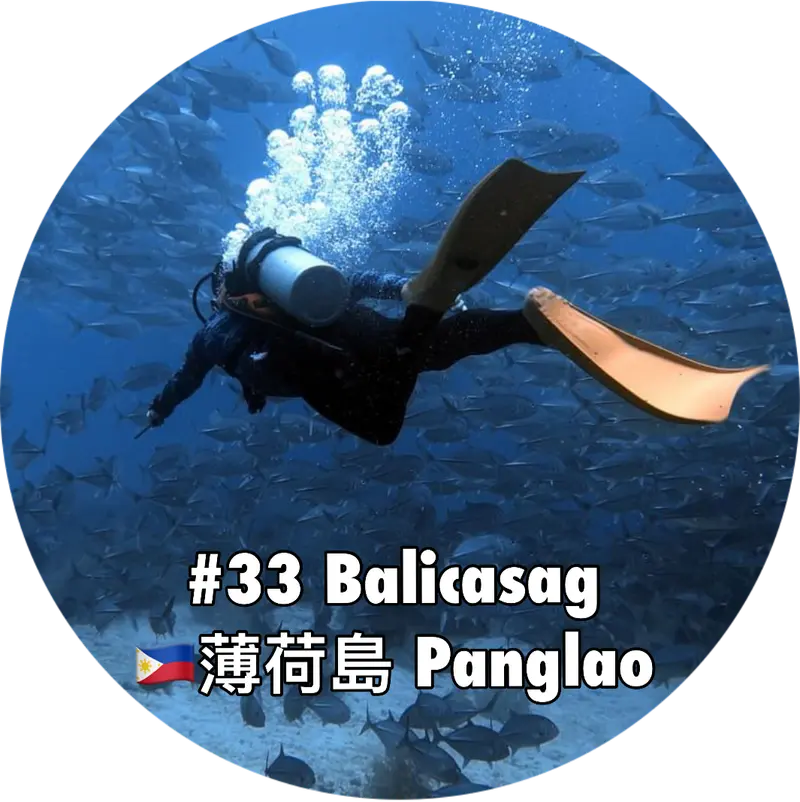 #33 Balicasag