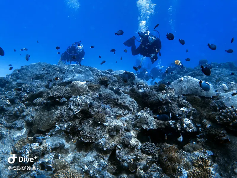 #45 Shih Lang Diving Area