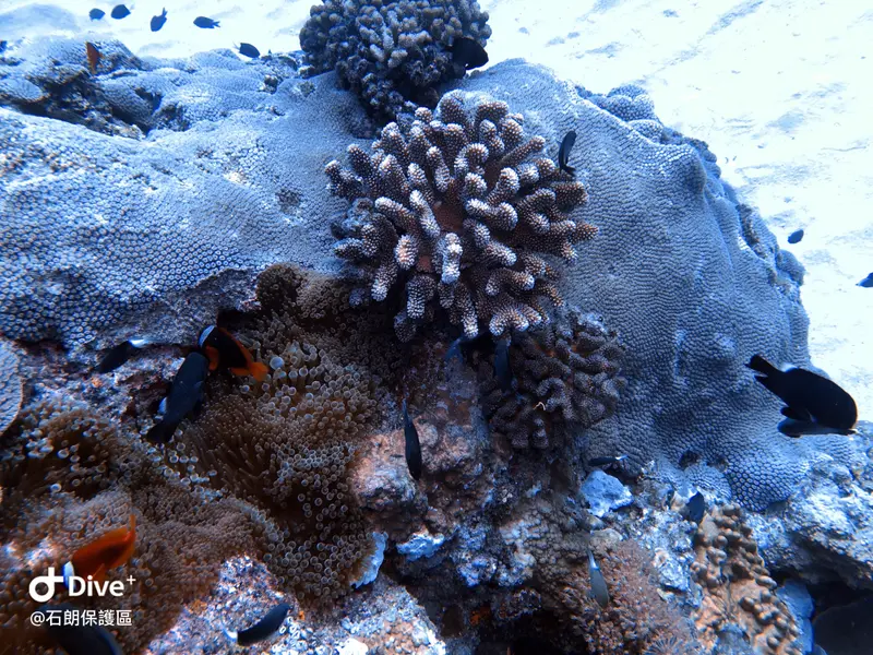 #45 Shih Lang Diving Area