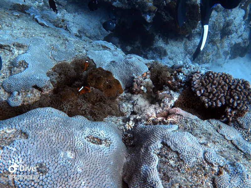 #45 Shih Lang Diving Area