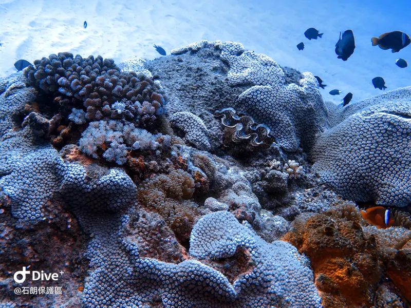 #45 Shih Lang Diving Area