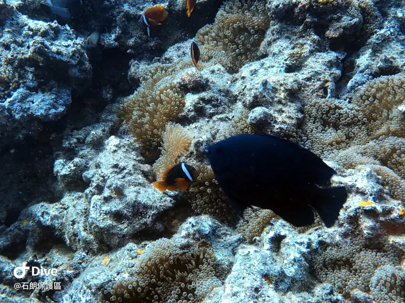 #45 Shih Lang Diving Area