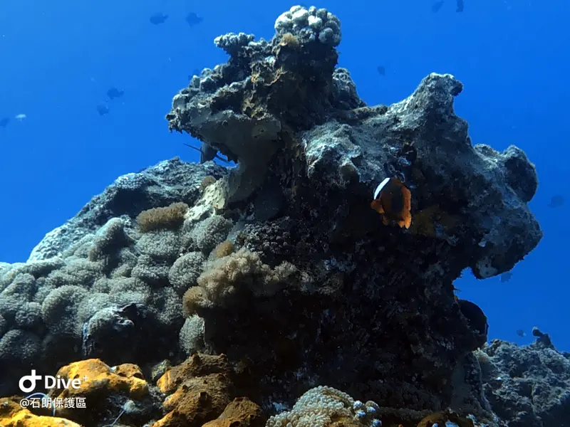 #45 Shih Lang Diving Area