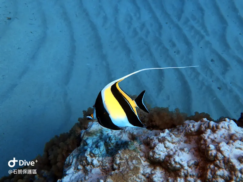 #45 Shih Lang Diving Area