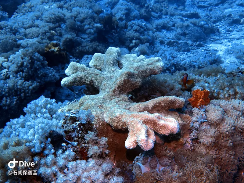 #45 Shih Lang Diving Area