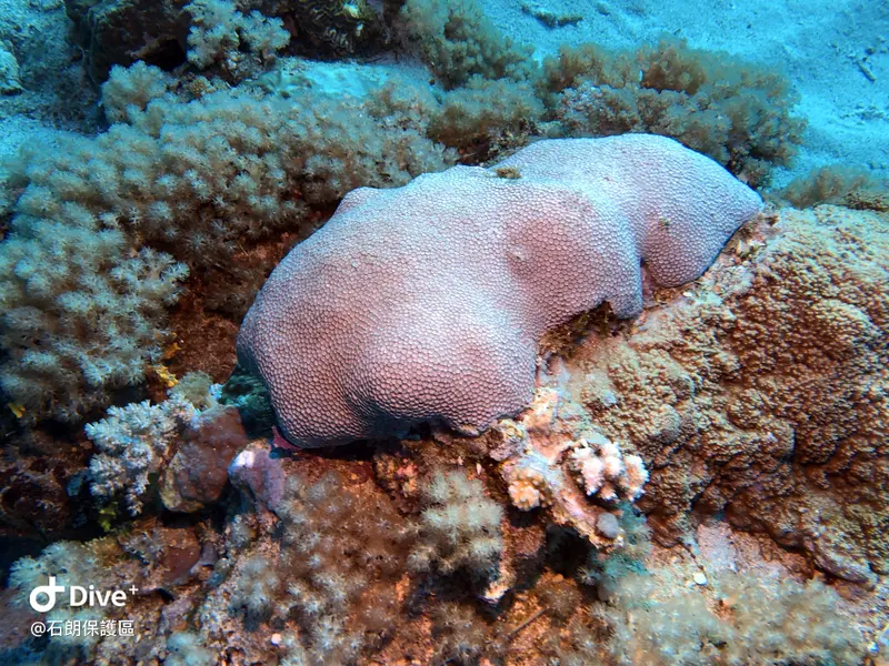 #45 Shih Lang Diving Area