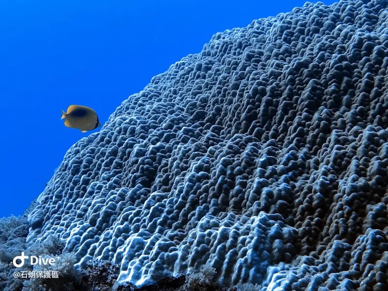#45 Shih Lang Diving Area