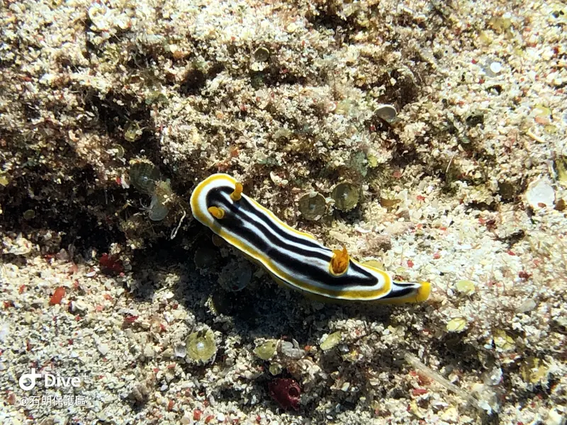 #45 Shih Lang Diving Area