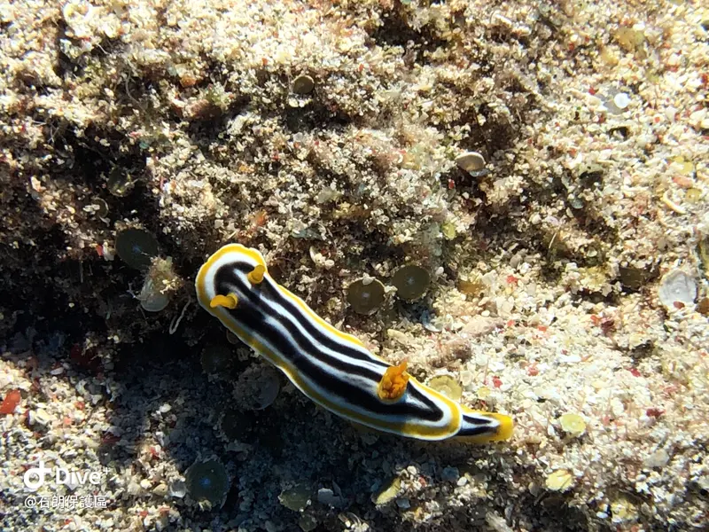 #45 Shih Lang Diving Area