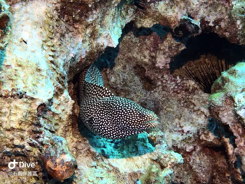 #45 Shih Lang Diving Area