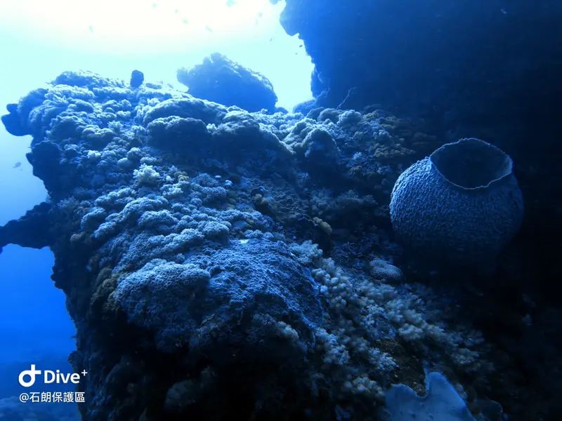 #45 Shih Lang Diving Area