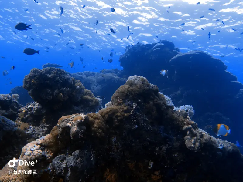 #45 Shih Lang Diving Area
