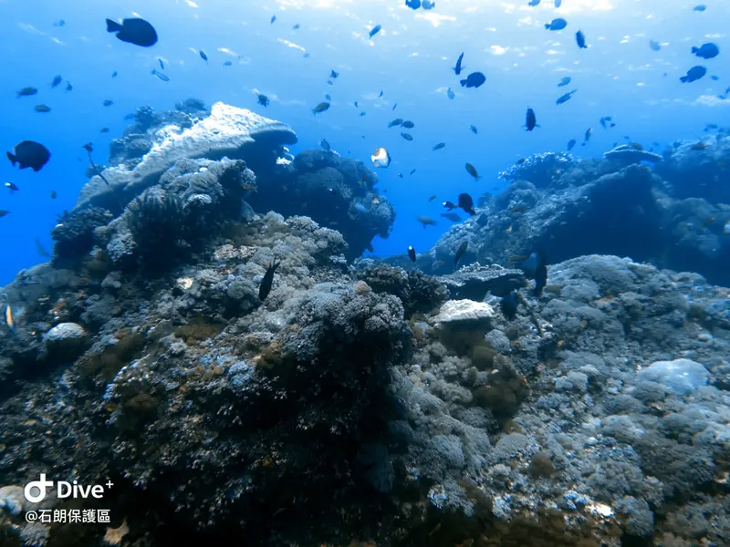 #45 Shih Lang Diving Area