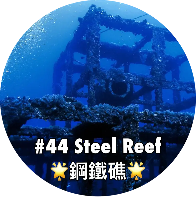 https://www.mingdiving.com/blog/diving44