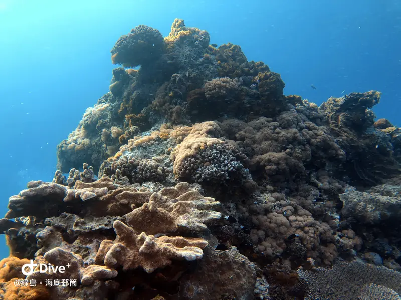 #49 Underwater postbox