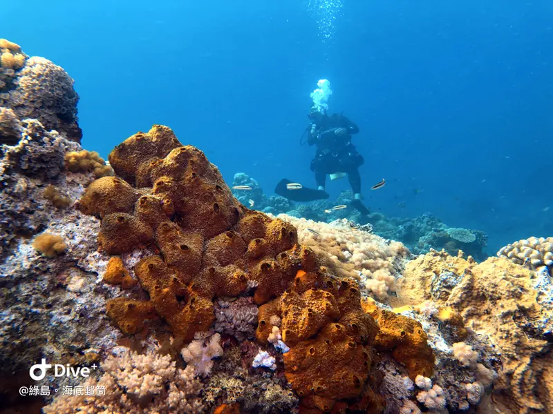 #49 Underwater postbox