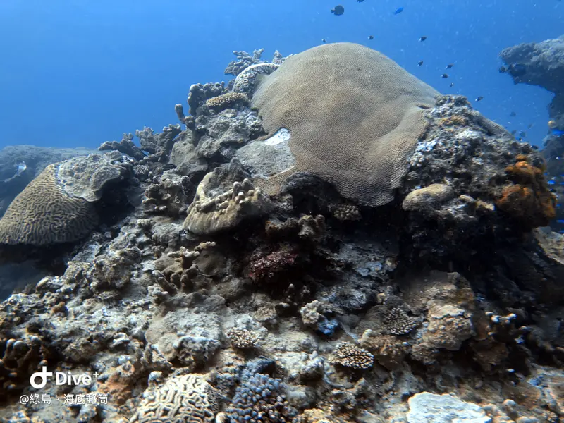 #49 Underwater postbox