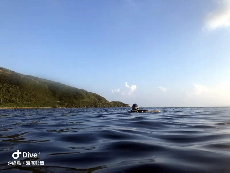 #49 Underwater postbox