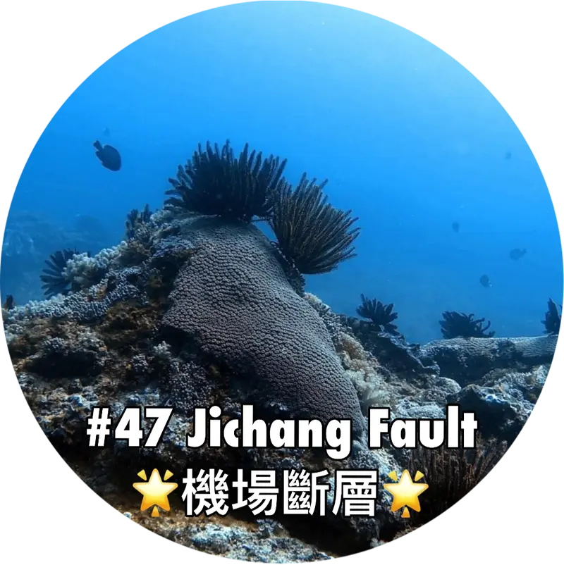 https://www.mingdiving.com/blog/diving47