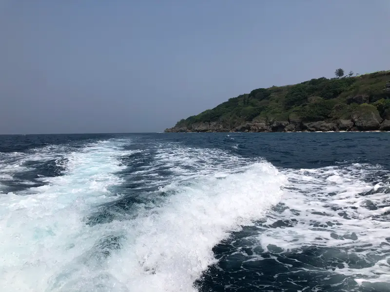 #51 Meriren Dong 🇹🇼#小琉球🌟#箱網海龜區🌟