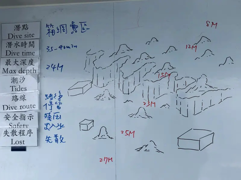 #51 Meriren Dong 🇹🇼#小琉球🌟#箱網海龜區🌟