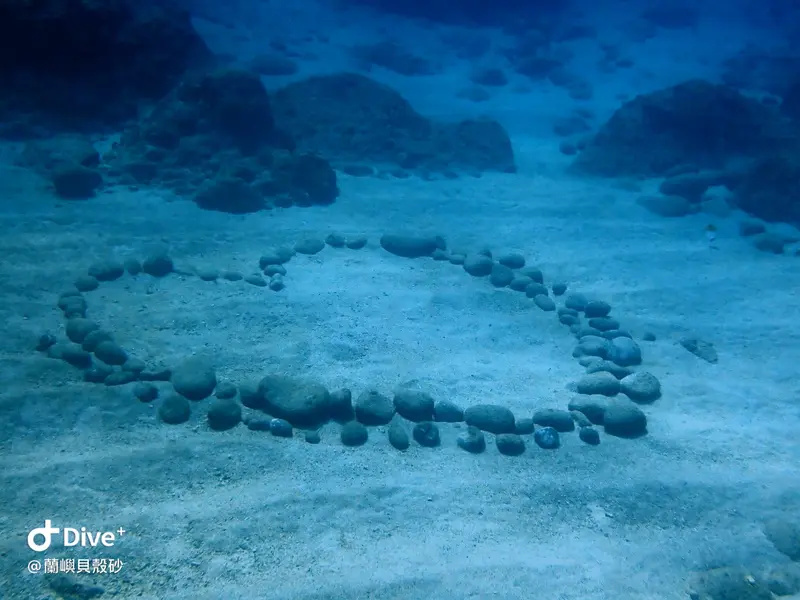 #55 Shell sand