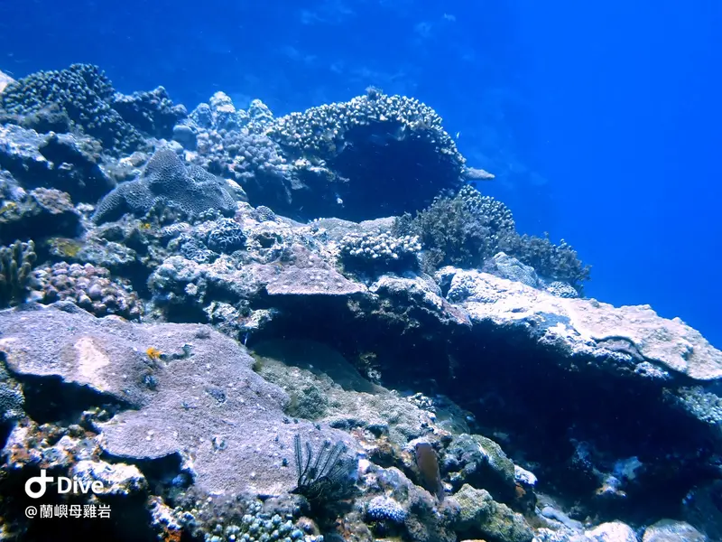 #58 Mujiyan