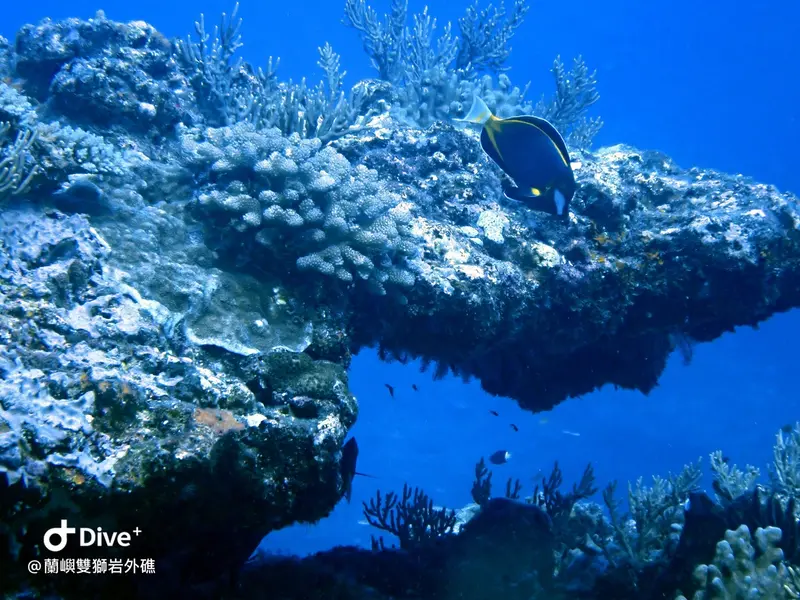 #60 Shuangshiyen Outer reef