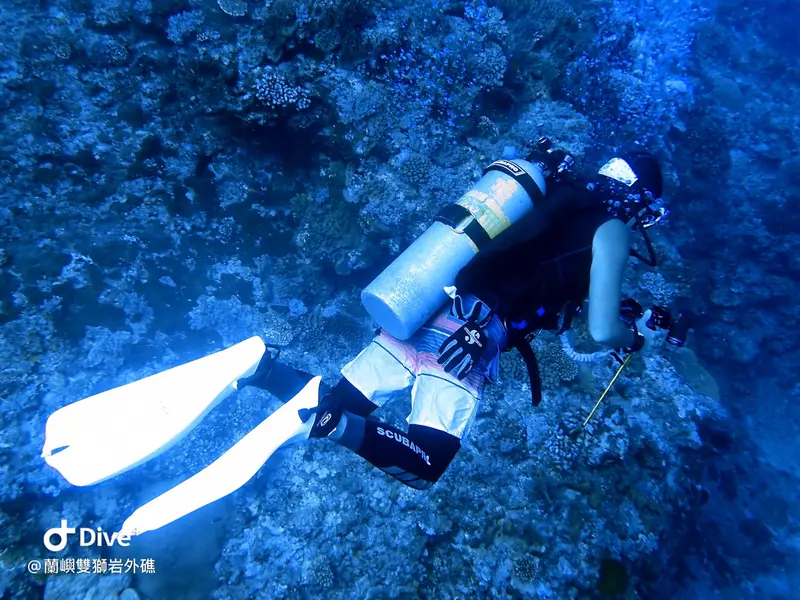 #60 Shuangshiyen Outer reef