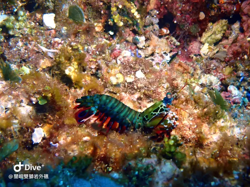 #60 Shuangshiyen Outer reef