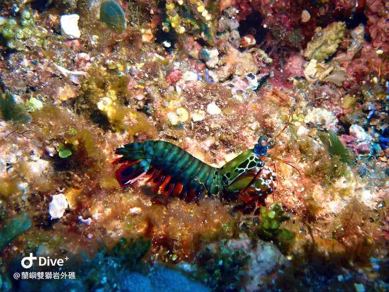 #60 Shuangshiyen Outer reef