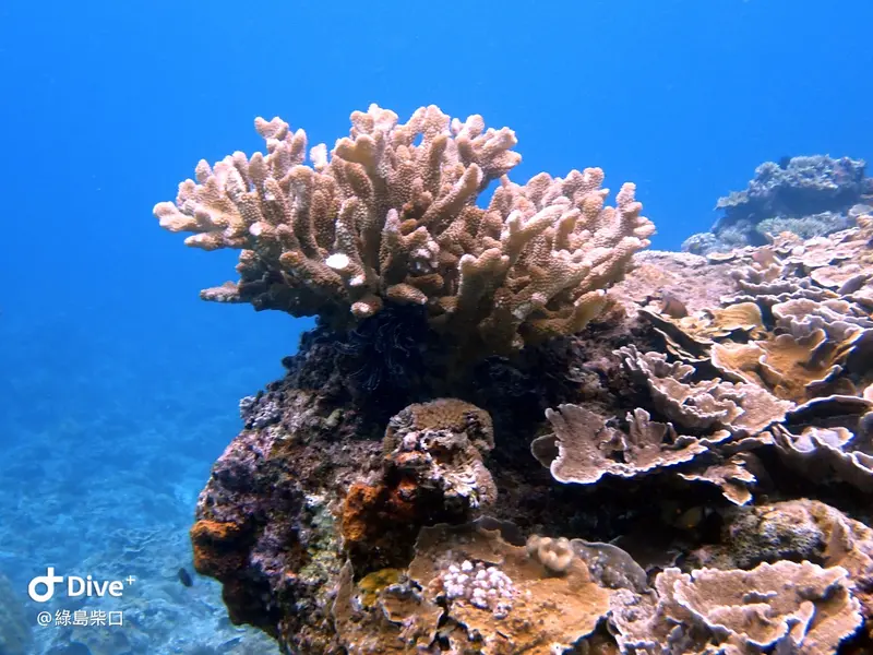 #67 Chai Kou Diving Area