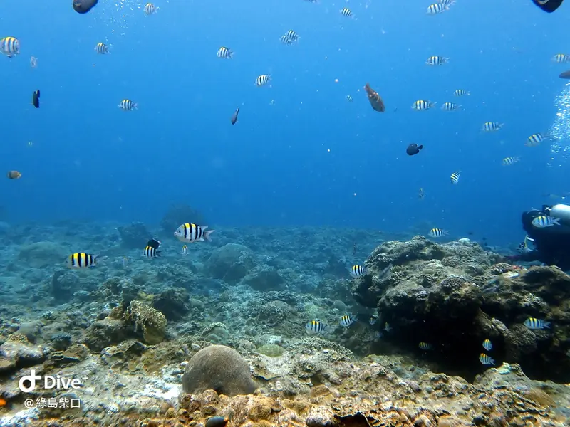 #67 Chai Kou Diving Area