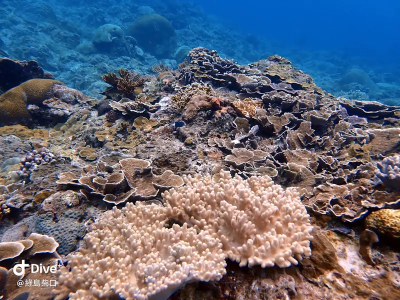 #67 Chai Kou Diving Area